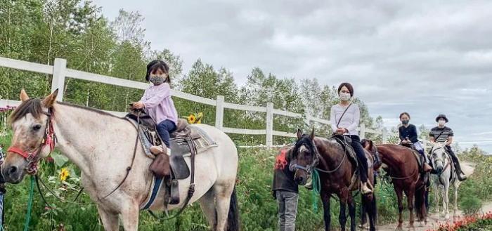 富良野遊馬牧場