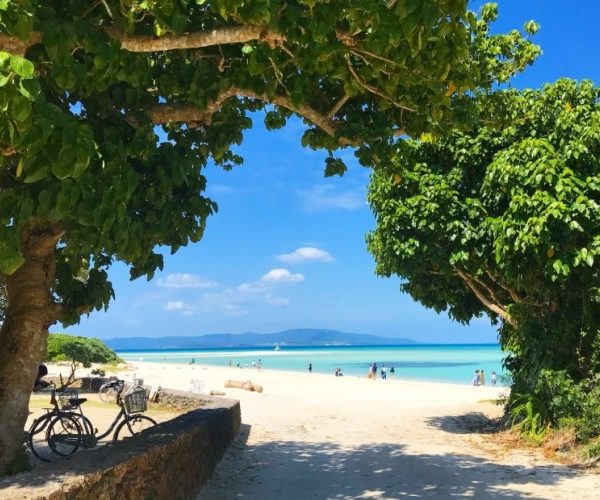 竹富島旅遊攻略：必玩景點與交通指南